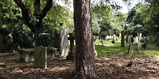 Common Graves Tour of Brompton Cemetery 18  May 2024 primary image