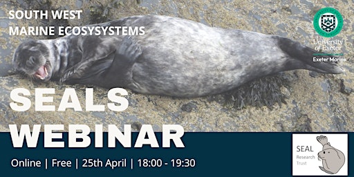 Imagem principal do evento South West Marine Ecosystems (SWME) Seals Webinar