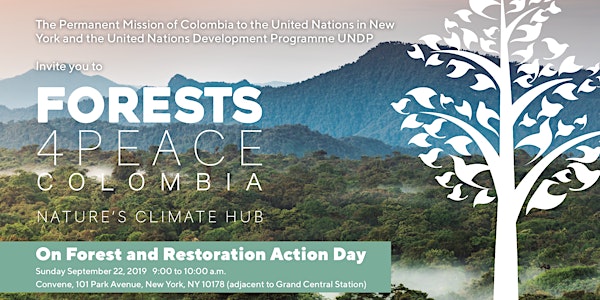 Forests4Peace Colombia: Nature's Climate Hub