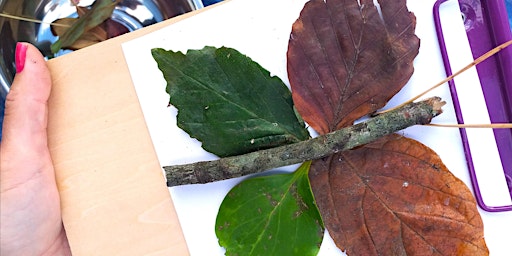 Primaire afbeelding van Leaf Litter - Spring Themed at Boscombe Chine Gardens