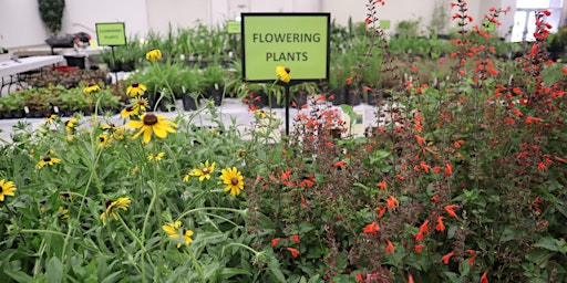 Primaire afbeelding van Duval County MGV PRE-TICKETED Plant Sale!