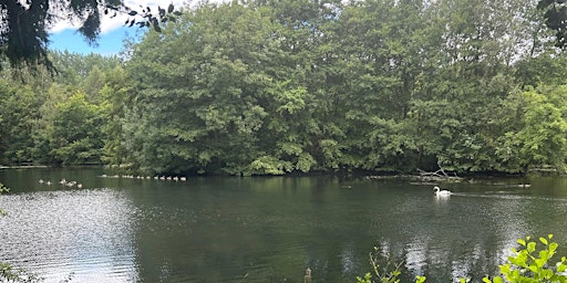 Image principale de Summer Wellbeing Walk in Elvaston's Nature Reserve