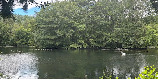 Hauptbild für Summer Wellbeing Walk in Elvaston's Nature Reserve