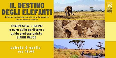 PRESENTAZIONE DEL LIBRO: IL DESTINO DEGLI ELEFANTI