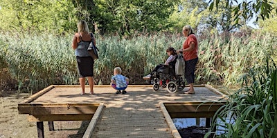 Imagem principal do evento Pond dipping at Big Pool Wood