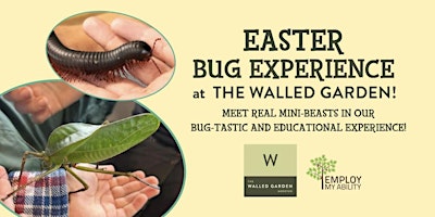 Imagen principal de Easter Bug Experience at The Walled Garden