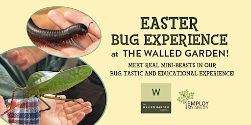 Primaire afbeelding van Easter Bug Experience at The Walled Garden