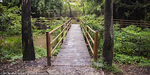 Imagem principal de Visita Escolar (sem monitoria) - Parque  Ecológico Eldorado