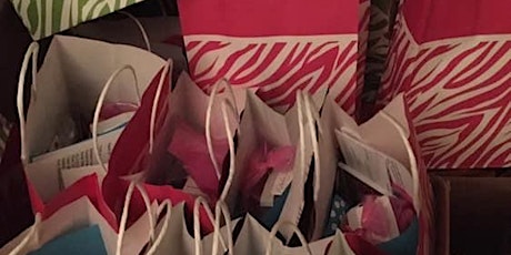 Swag Bags - LadyBiz Conference & Celebration  primary image