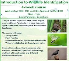 FREE+Wildlife+Identification+Course+at+Beam+P