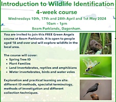 Hauptbild für FREE Wildlife Identification Course at Beam Parklands Country Park