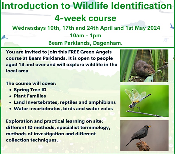 FREE Wildlife Identification Course at Beam Parklands Country Park