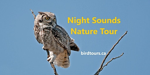 Imagen principal de Night Sounds Self-Driving Escorted Nature  Group  Tour