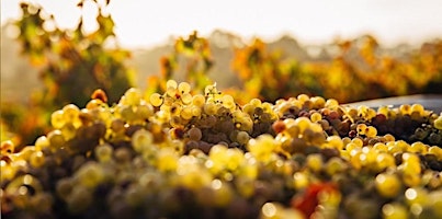 Immagine principale di Chameleon: Chardonnay, Chenin Blanc, Riesling 