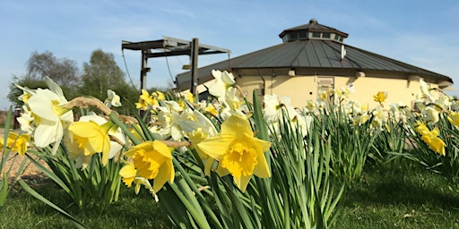 Imagen principal de Flag Fen Fledglings - Spring has Sprung! (Age 3+)