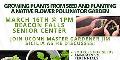 Imagen principal de Growing Plants from Seed and Planting a Native Flower Pollinator Garden