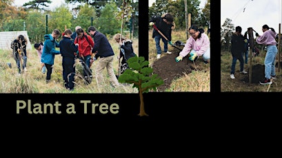 Plant a Tree - Thursday primary image
