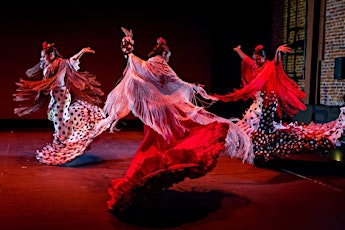 Imagen principal de Taller de Flamenco