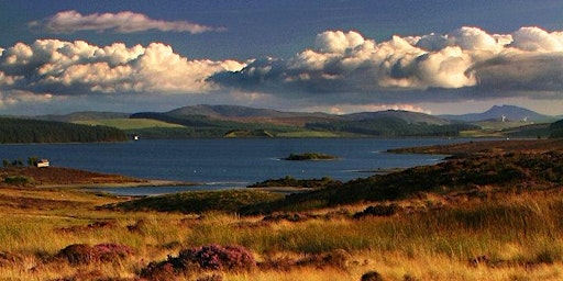 Imagem principal de A morning on the Denbigh moors