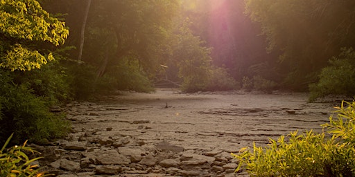 Imagem principal de Marshall Knob Hike