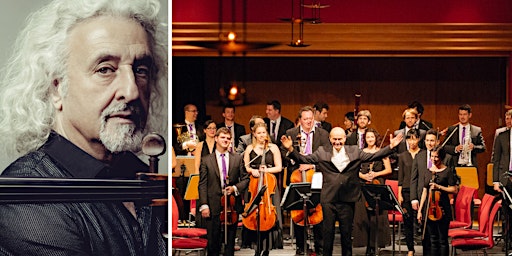 Mischa Maisky & Verbier Festival Chamber Orchestra – Orchesterkonzert primary image