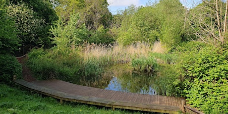 Hauptbild für Nature Wellbeing Walk at Holland Park