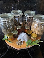 Medicinal Plants primary image