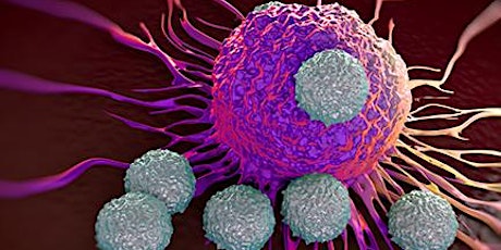 Science and snacks: Killer T Cells primary image