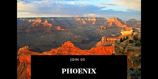 Immersive Insights  Gala Tour: Phoenix Experience primary image