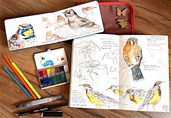 Nature Journaling and Bird Sketching with Robin Carlson