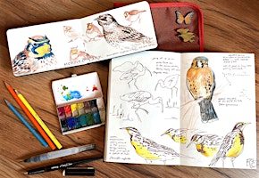 Hauptbild für Nature Journaling and Bird Sketching with Robin Carlson