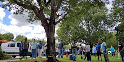 Imagem principal do evento ADVANCED Tree Trimmer Certification - SPANISH