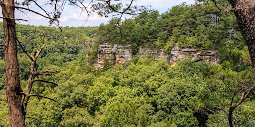 Primaire afbeelding van Fiery Gizzard Hike