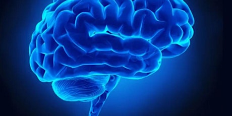 The Brain, Bias and Behavior: Neuroscience of Unconscious Bias primary image