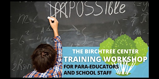 Strategies to Address Challenging Behaviors in Public Schools  primärbild