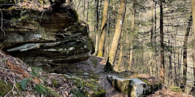 Piney River Bluffs Hike primary image