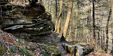 Piney River Bluffs Hike