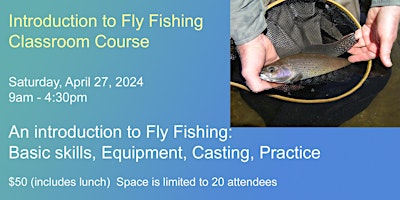 Imagem principal de Introduction to Fly Fishing