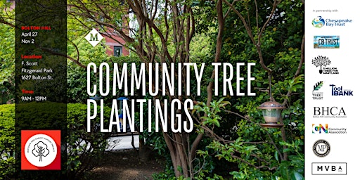 Bolton Hill Tree Planting  primärbild
