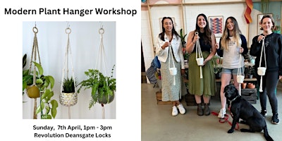 Image principale de Macrame Plant Hanger Workshop