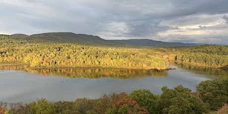 Solar Eclipse 2024 - Horsehead Lake Lodge