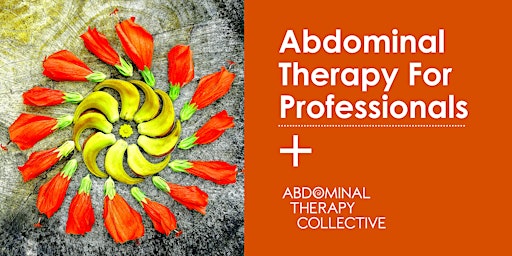 Abdominal Therapy for Professionals Plus ( ATP+) primary image