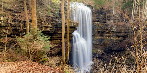 Imagem principal do evento Virgin Falls Wildflower Hike