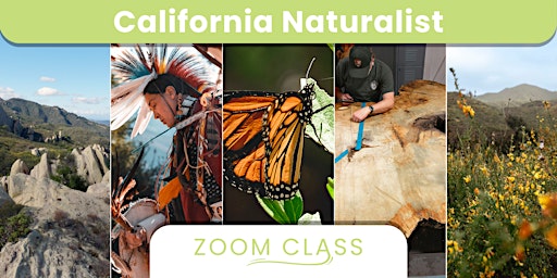 California Naturalist Zoom Class 4/18 primary image