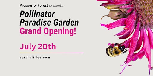Imagem principal do evento Grand Opening! Pollinator Paradise Garden - Workshop