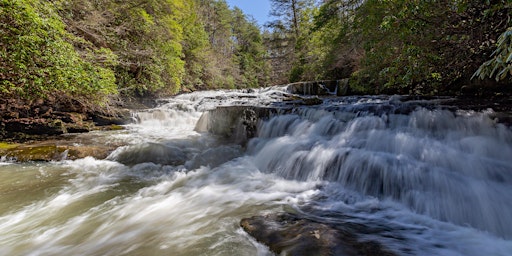 Savage Gulf State Park Hike primary image