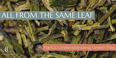 All from the Same Leaf Part 2: Understanding Green Tea primary image