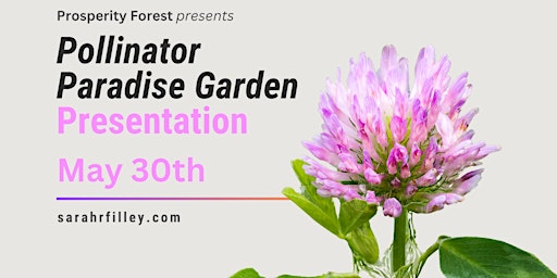 Imagem principal do evento Pollinator Paradise Garden Presentation