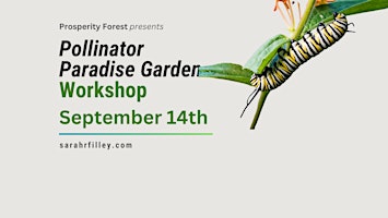 Imagen principal de Pollinator Paradise Garden - Fall Workshop