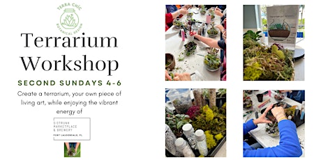 Terrarium Workshop at Sistrunk Marketplace and Brewery